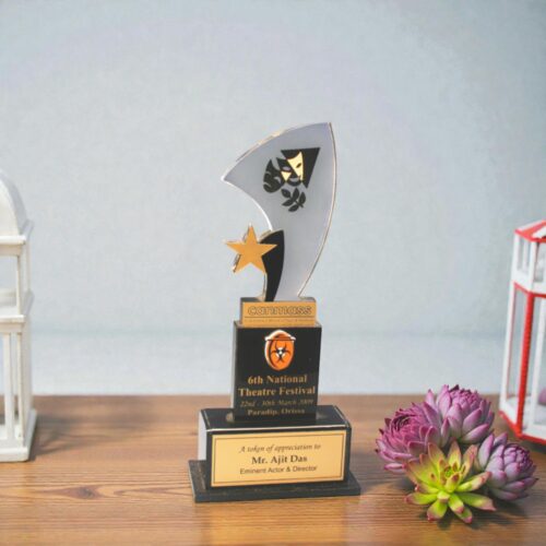 Acrylic Star Award Of Excellence - LZ-0121