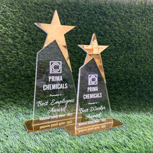 Best Employee Acrylic – AWARDS