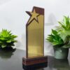 Wooden Star Trophy - Size 10 inch
