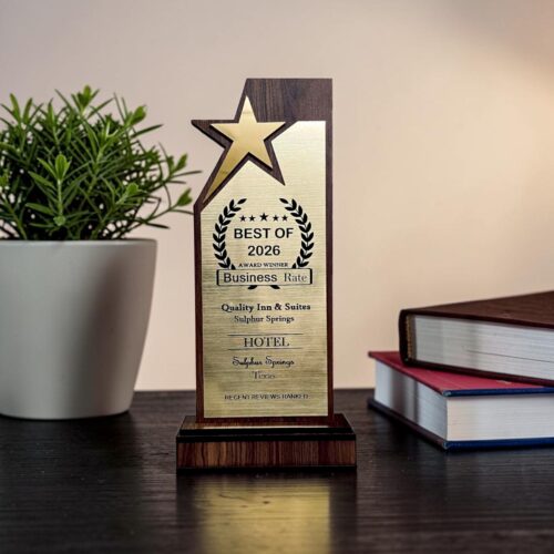 Wooden Star Trophy - Size 10 inch