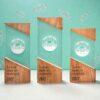 Wooden trophy-01256