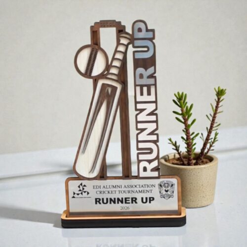 Cricket Trophy - 01272