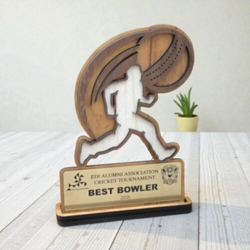 Cricket Trophy I Best Bowler - 01276