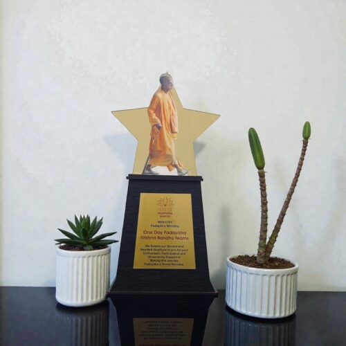 Excusive Star Acrylic trophy-01280