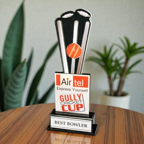 Cricket Trophy - 01267