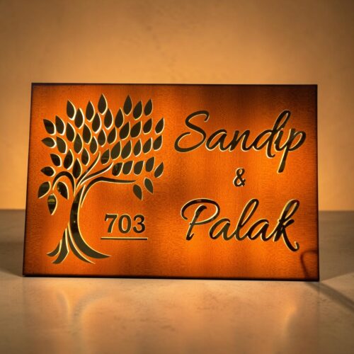 Custom Acrylic Nameplate with LED Lights for Home Entrance